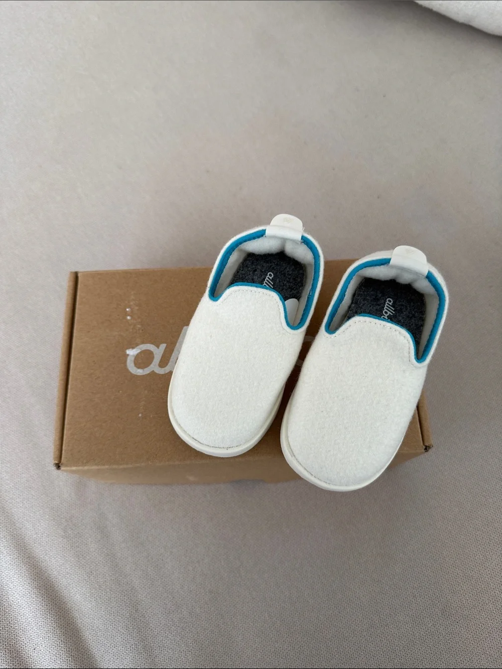 Allbirds toddler slip on shoe